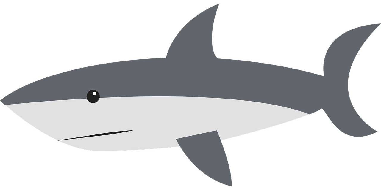 shark, side, swimming-1085670.jpg